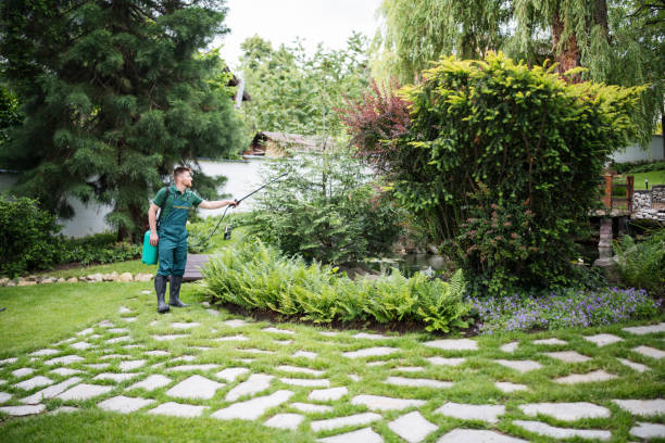 Best Aeration Services  in Holt, AL