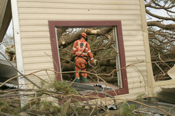 Best Tree Disease Treatment  in Holt, AL